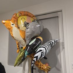 Safari Themed Baloons