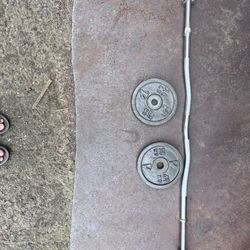 Curl Bar 