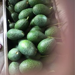 Avocados 🥑
