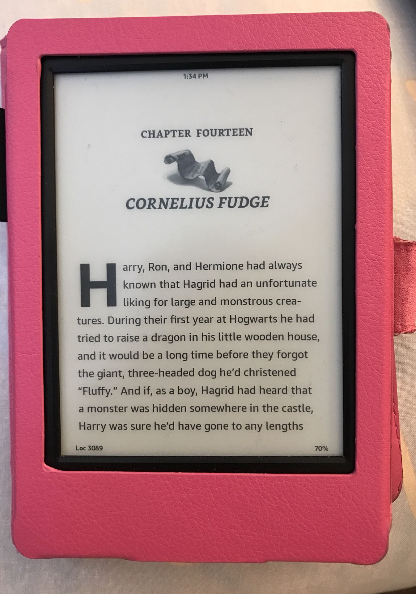 Kindle 7th gen e-reader with case