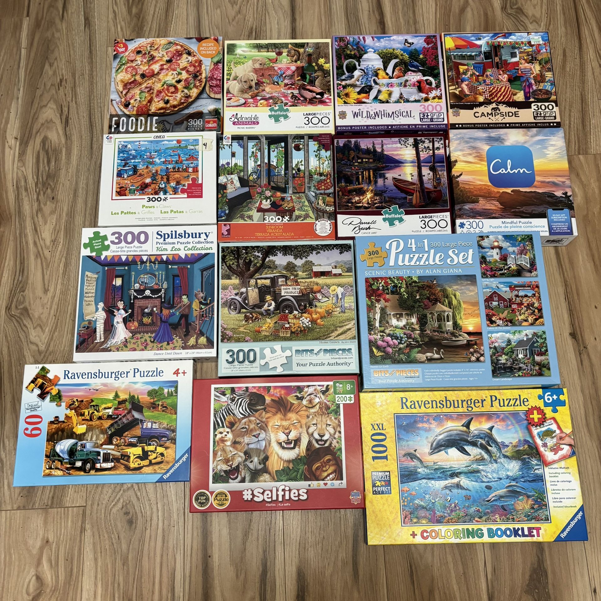 300 Piece Puzzles 