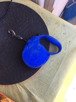 flexi dog leash (work for big dogs)