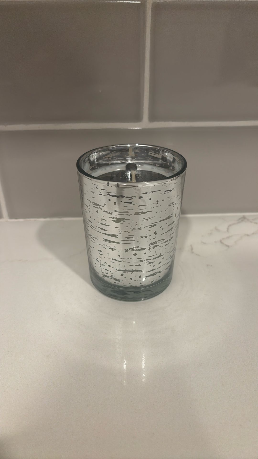Thymes Forest Birch Candle In Metallic Holder