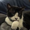 Bob