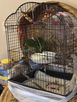 Bird Pet Supplies