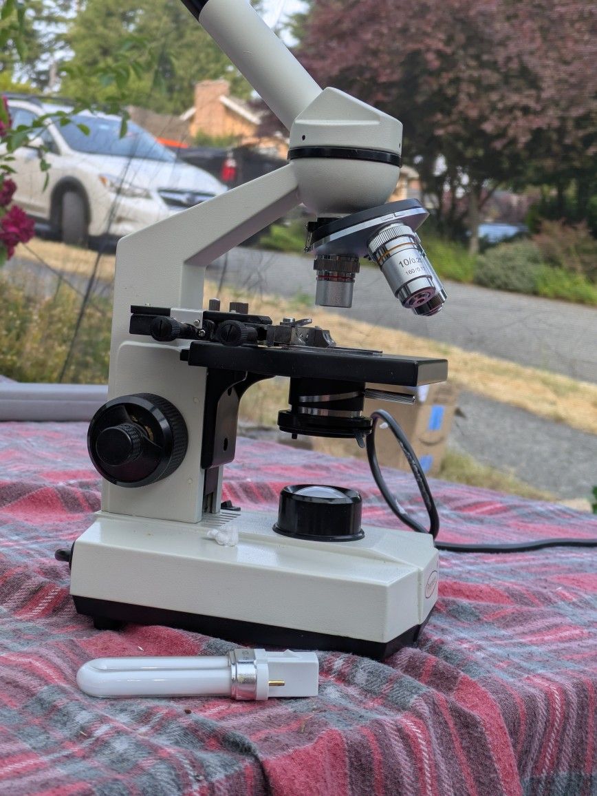 Microscope