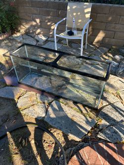 Fish tank ( 55 gallons )