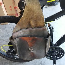 Saddlebags