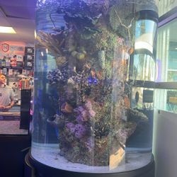 200 Gallon Monolithic Cylinder Aquarium Used