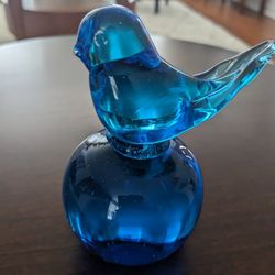 Blue bird Of Happiness 