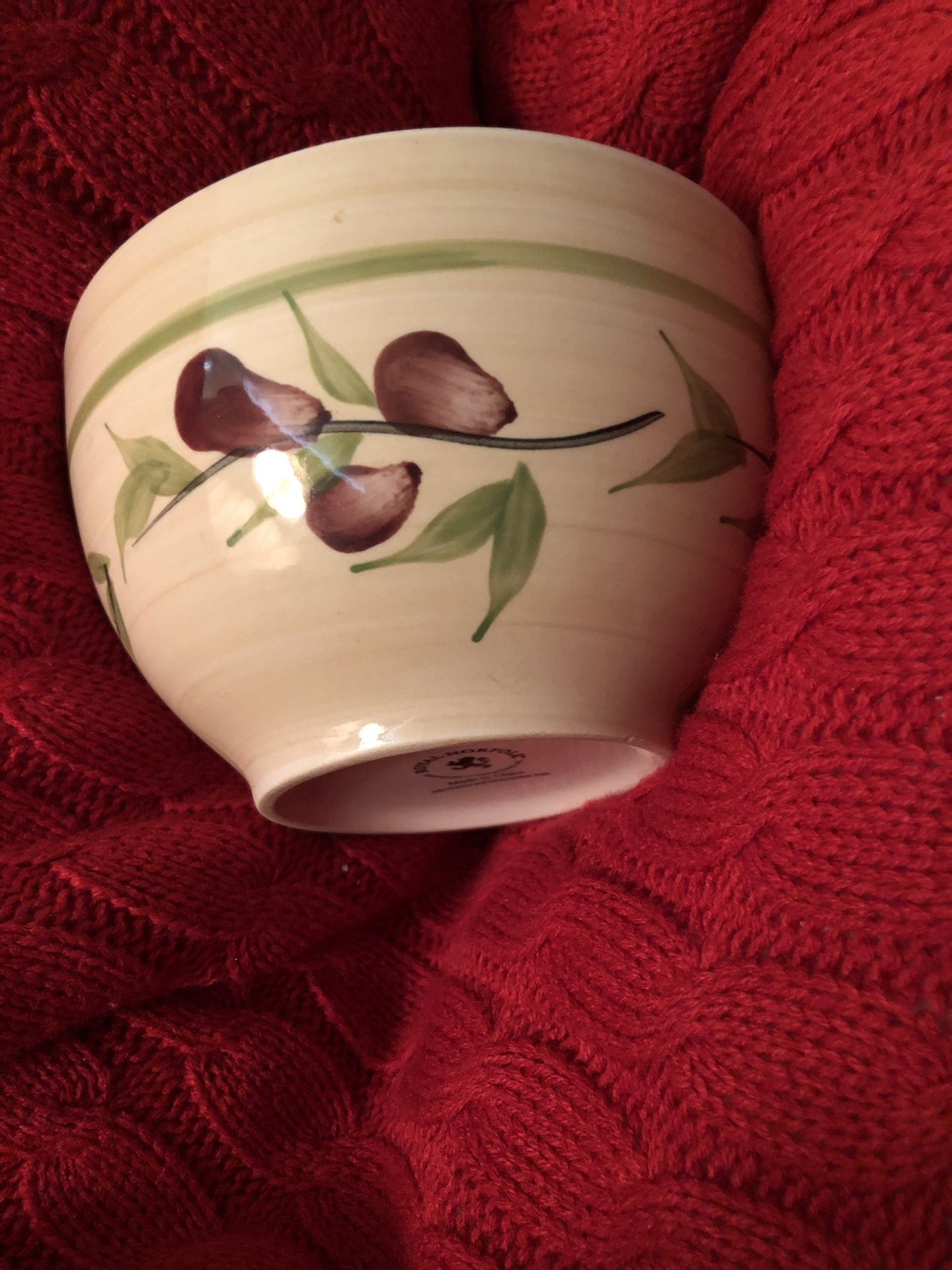 Soup/Cereal Bowl by Royal Norfolk
