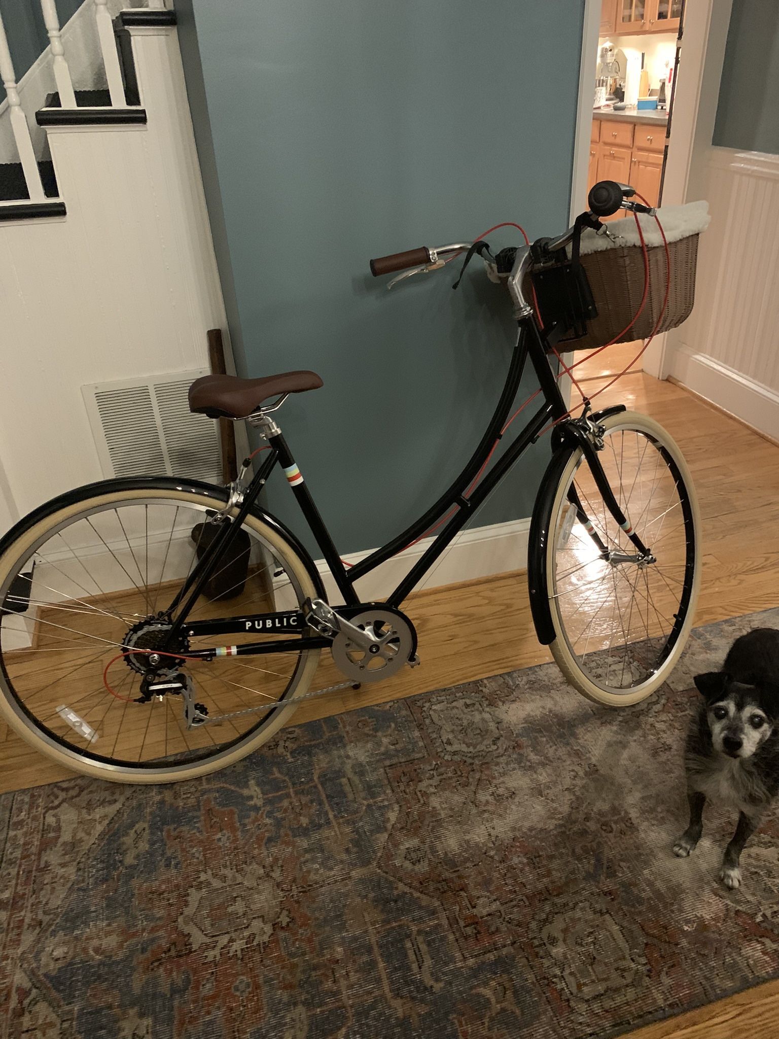 Public C7 Bike - Originally $600