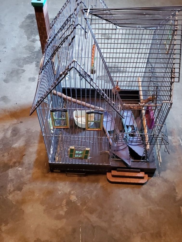 Bird Cage