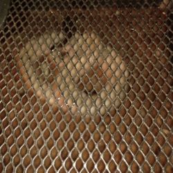 Lmk For Any Questions 