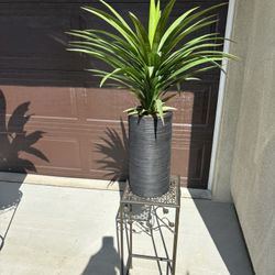 Artificial Plant & Stand 