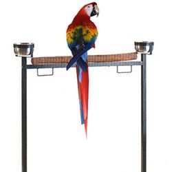 Large Parrot Bird Play Perch Rolling Stand