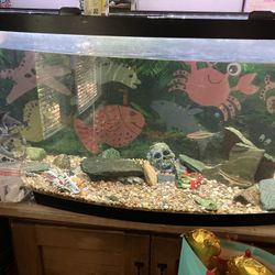 75 Gal Bow Tank COMPLETE