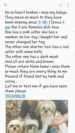 Lost please help me find them