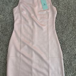 Pink Dress 