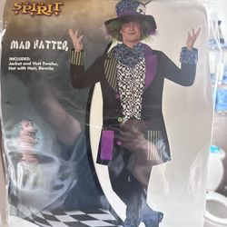 Mad Hatter Halloween costume