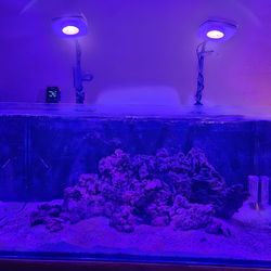 AIO Saltwater Aquarium
