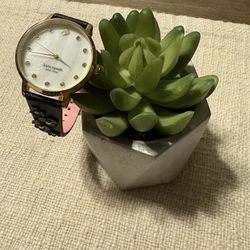 Kate Spade Watch 