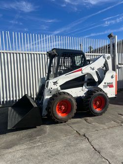 Bobcat