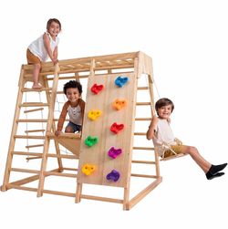 Avenlur Indoor Jungle Gym