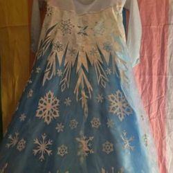 2 Disney Princess Dresses (High Quality)
