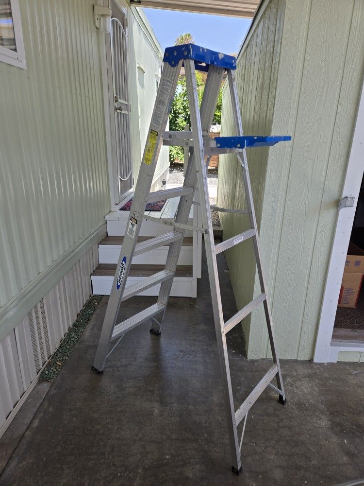 Ladder 6 Foot