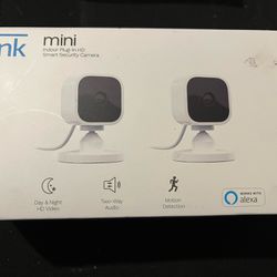 Mini Blink Security Cameras 