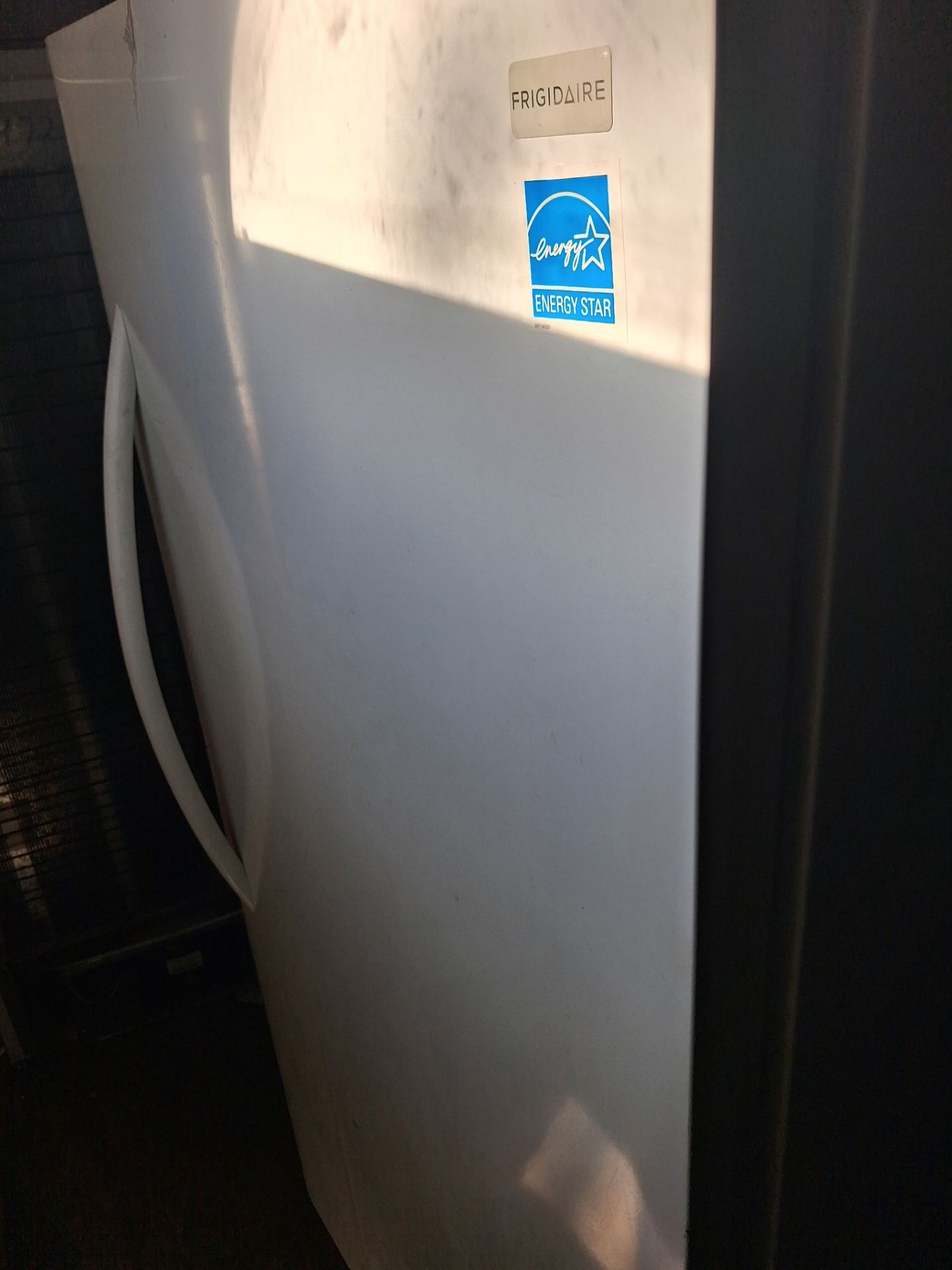 Standing freezer works great