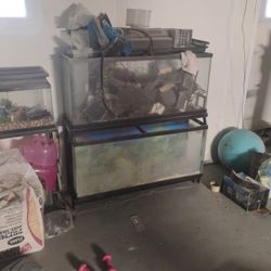 2 - 55 Gallon Aquariums* w/ Stand $125