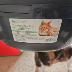 Cat Litter BOX 