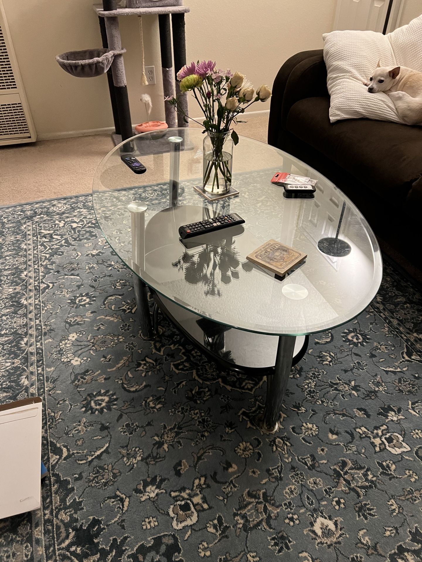 Glass And Chrome Coffee Table