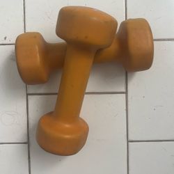 5 Lb Dumbbells 