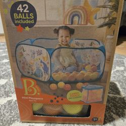 Babies Ball Pit
