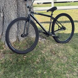 C2 29er converted 