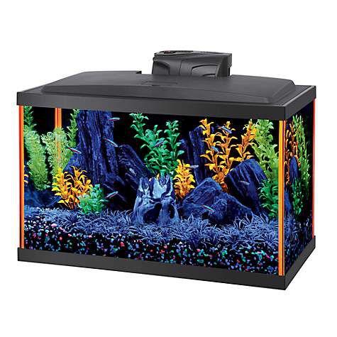 Aqueon NeoGlow 10 Gallon Aquarium Orange LED Fish Tank Kit