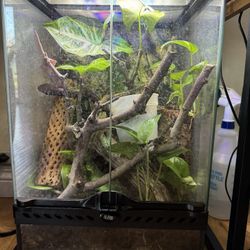 Zoomed Terrarium