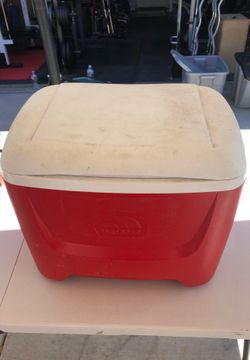 Igloo cooler