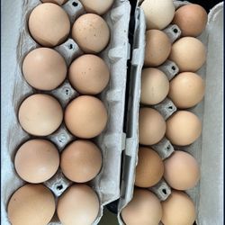 Farm Fresh Eggs Farm Fresh Eggs organic $7a dozen  Huevos frescos de Rancho  $7 la dozena Organic honey raw honey  Regular Mason jar. 32oz.  $25 Mediu