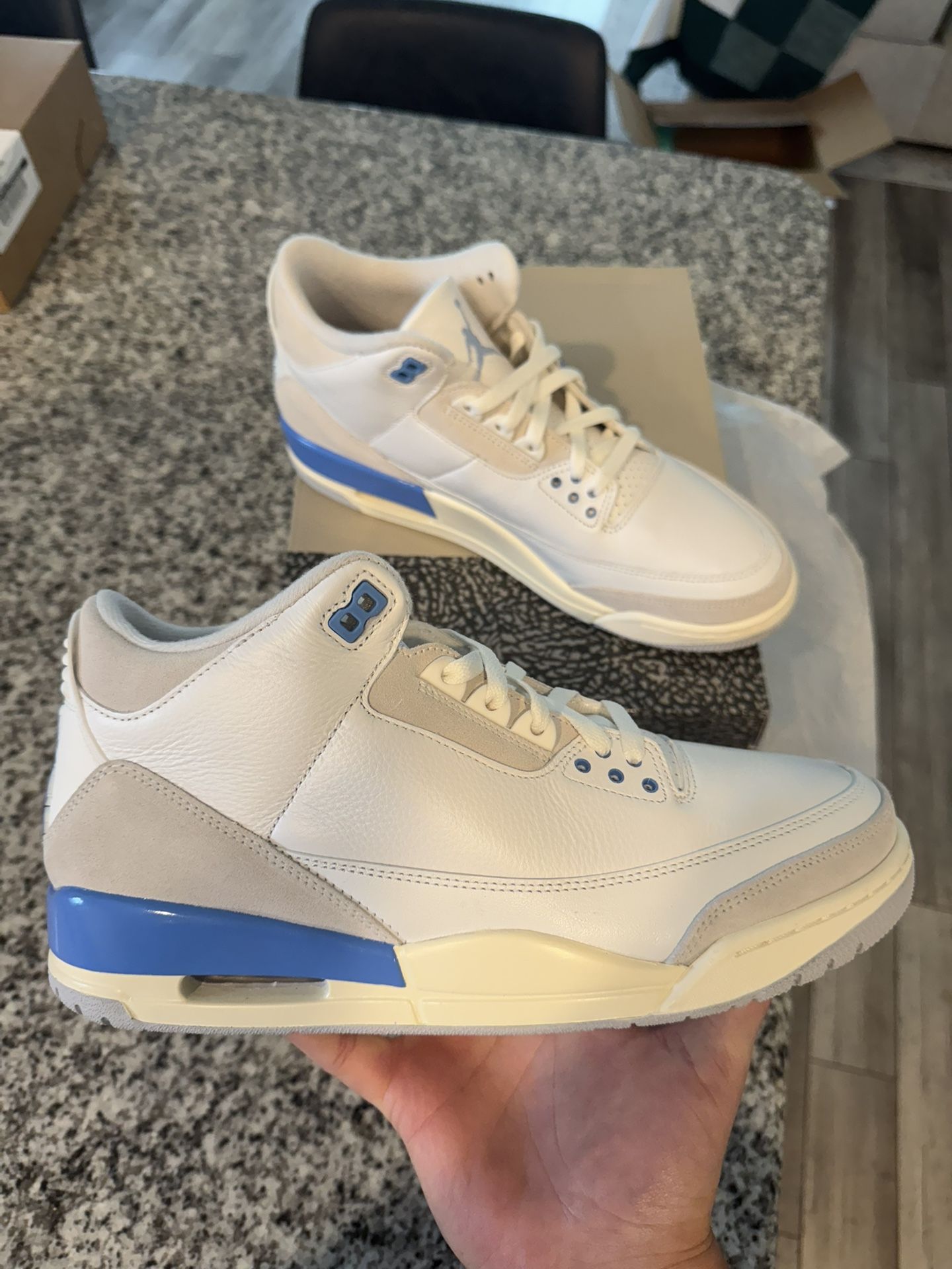 Jordan 3 Lucky Shorts