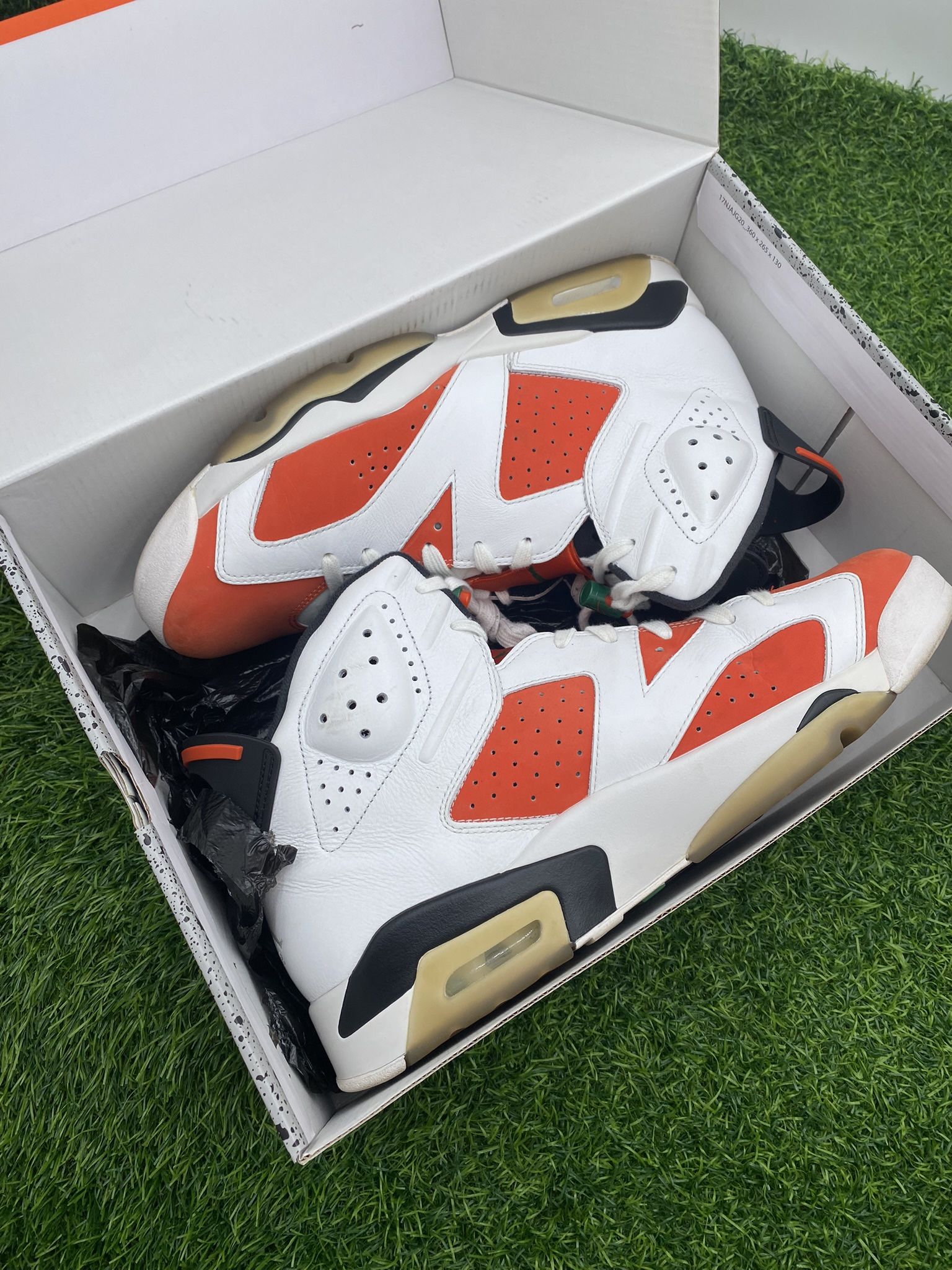 Jordan 6 “Gatorade” Size 13M