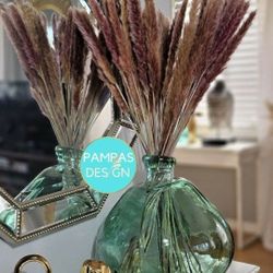 Minimalist Interior Design Dried Pampas Grass | 30 Stems Brown Tabletop Pampas Grass | Boho Grass