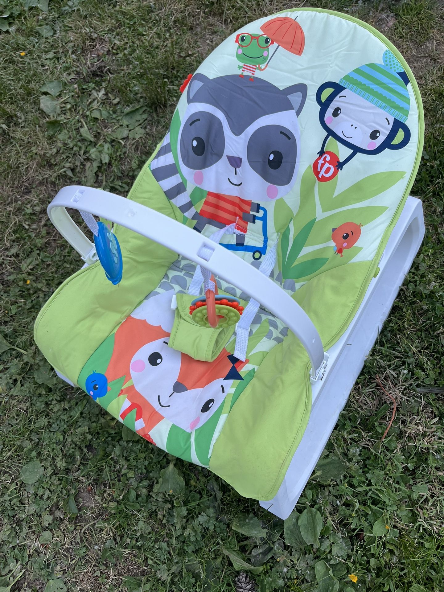 Infant To Toddler Chair