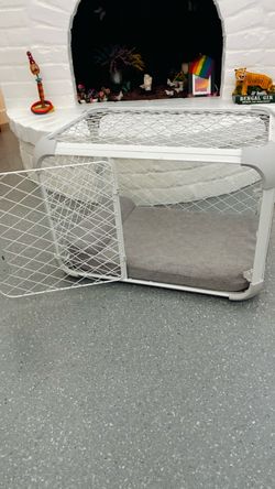 Diggs Evolv Dog Crate