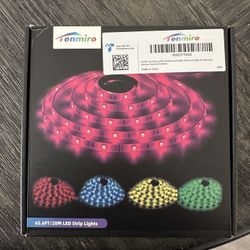Tenmiro 65.6ft LED Strip Lights 