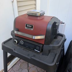 Ninja woodfire electric grill