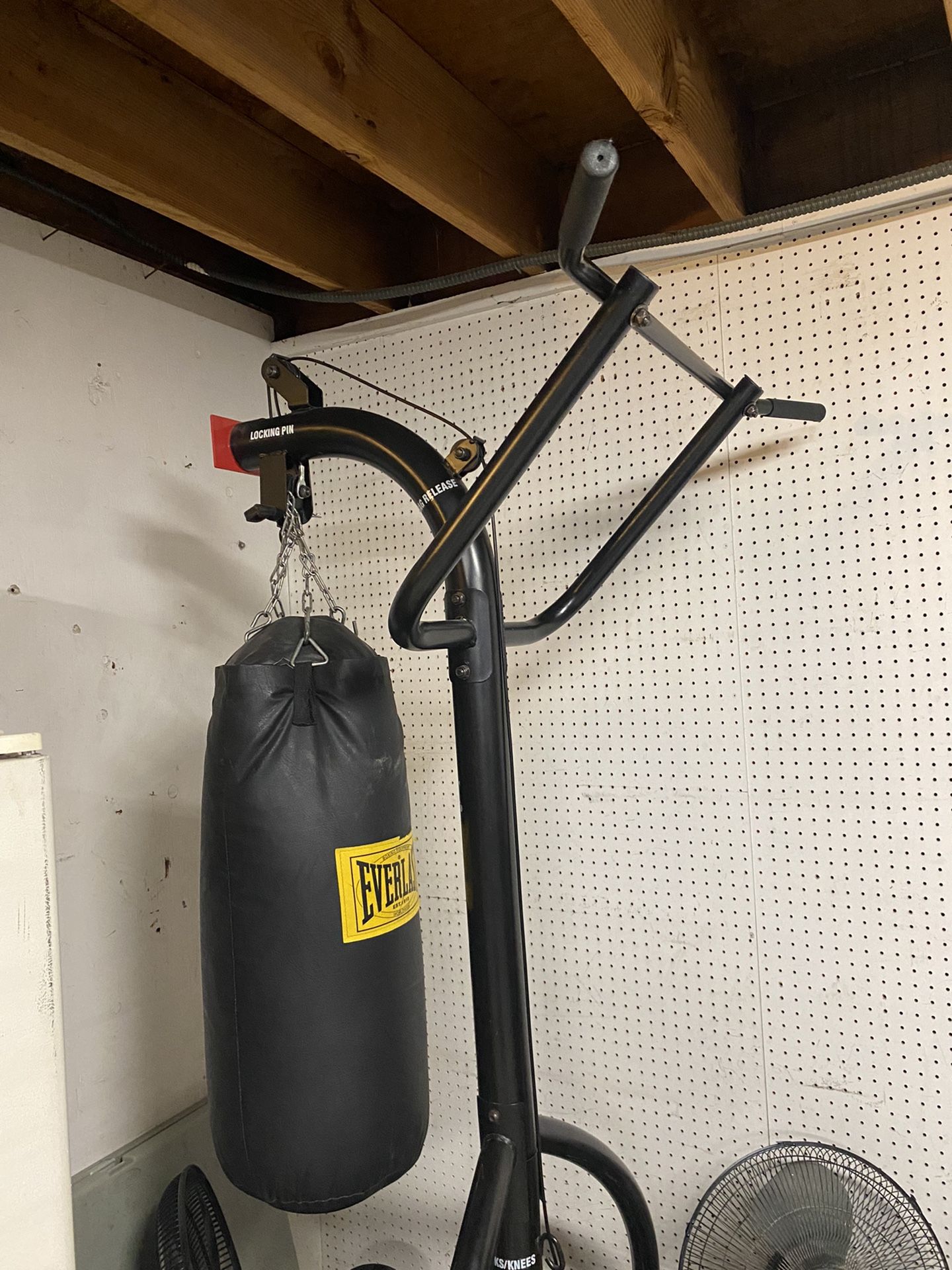 Everlast Punching Bag Stand With Pull Up Bar
